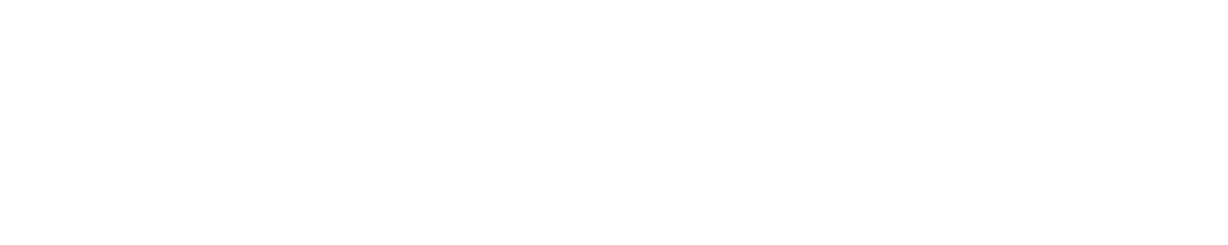 Blonza General Import and Export PLC