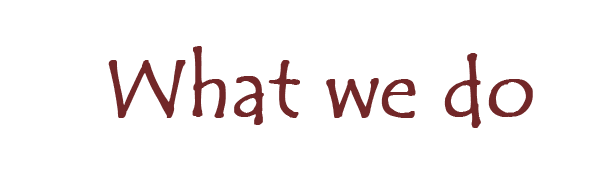 What we do